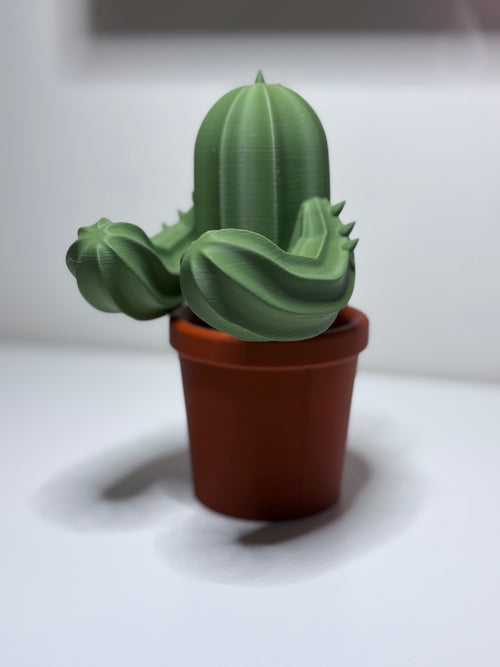 Cactus Glasses Stand