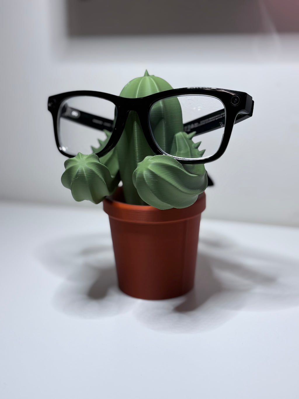 Cactus Glasses Stand