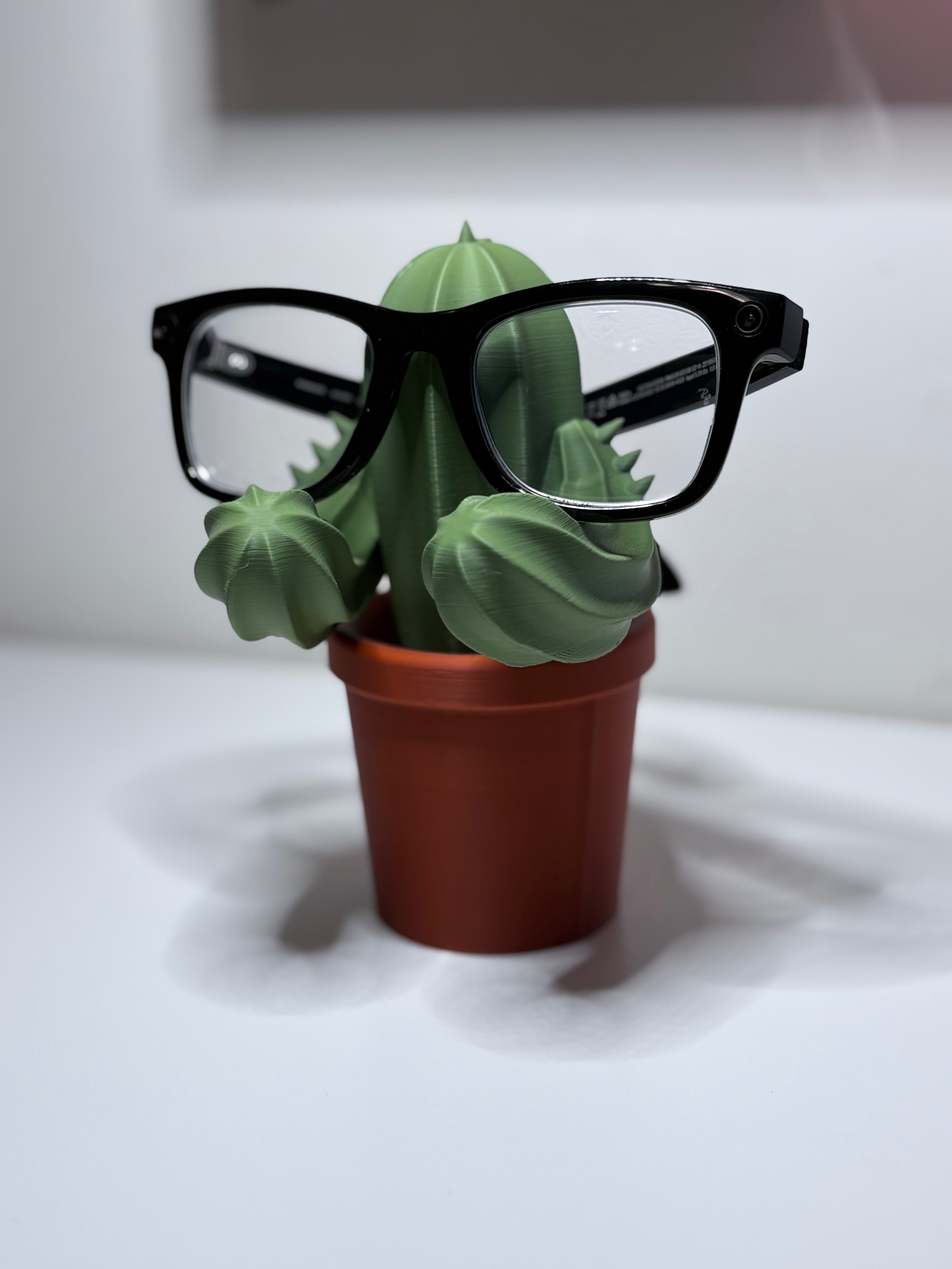 Cactus Glasses Stand