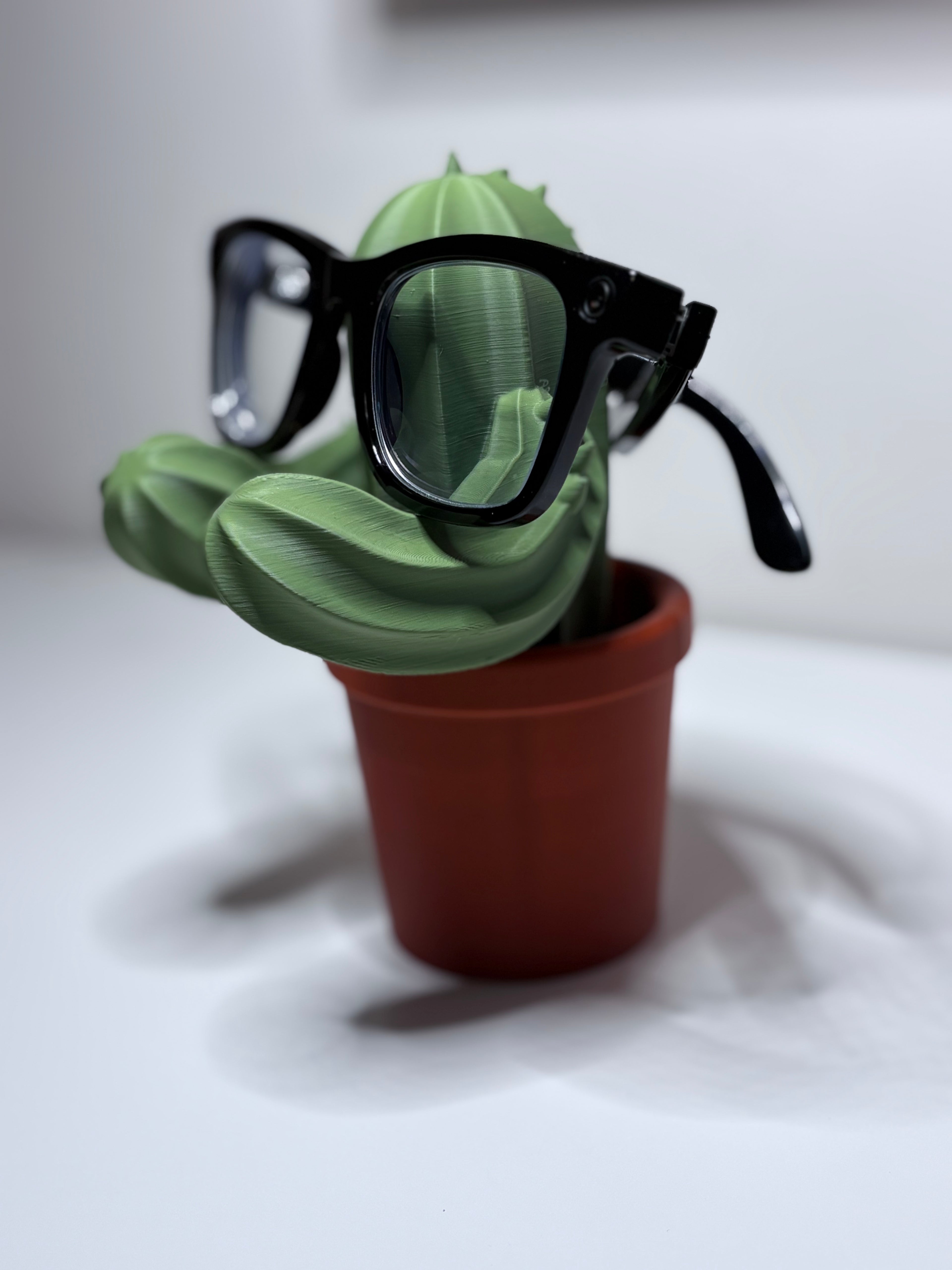 Cactus Glasses Stand